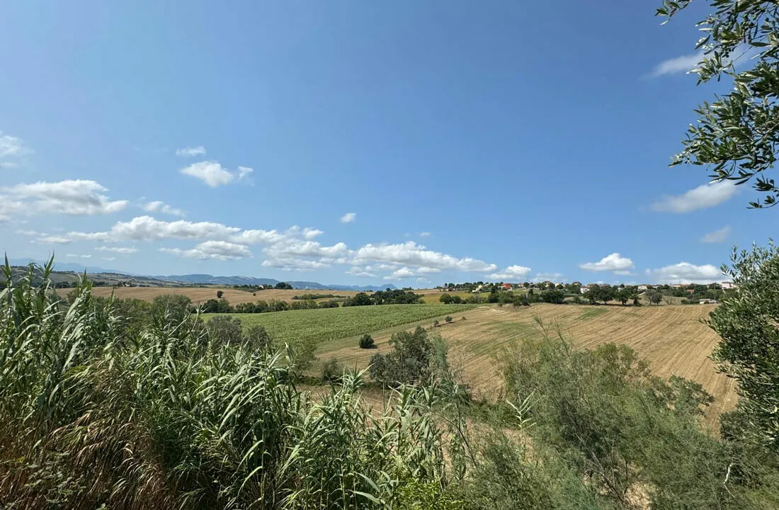 Santa-Maria-Nuova-Erika-ventotto