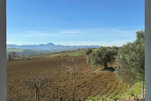 collina-ciqnyanta