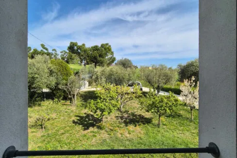 lorenza-collina--due