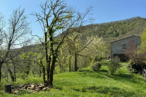 Apecchio-dieci