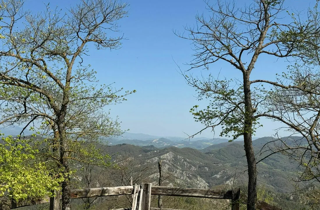 Apecchio-sei