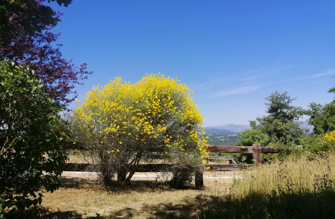 Piscina-quattro