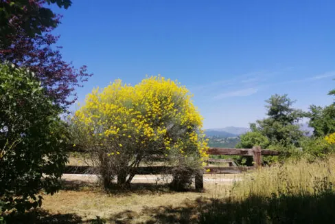 Piscina-quattro