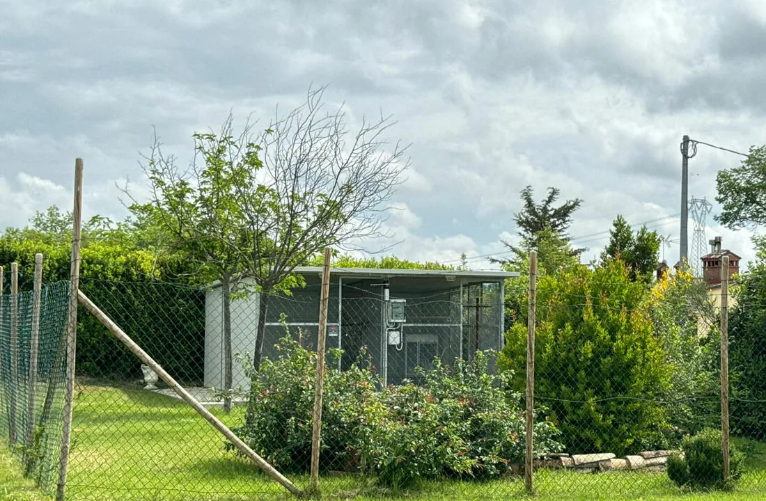 Casa-del-pavone-tre