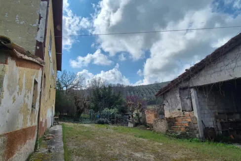 Zannotti-dodici
