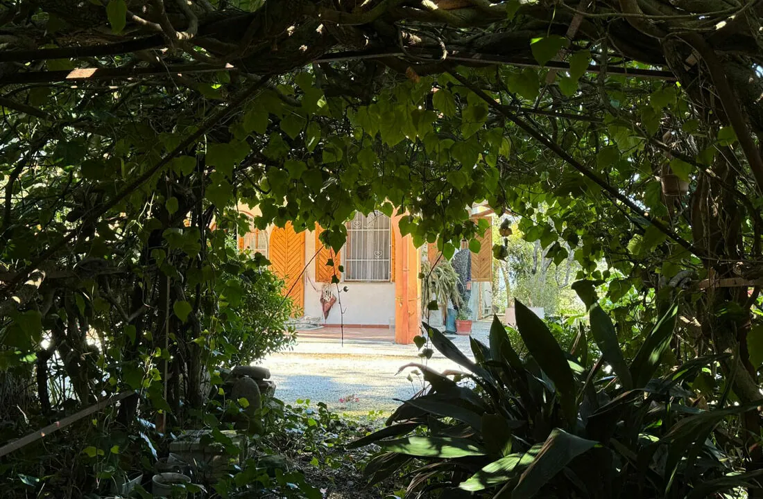 Casa-Mexico-diciannove