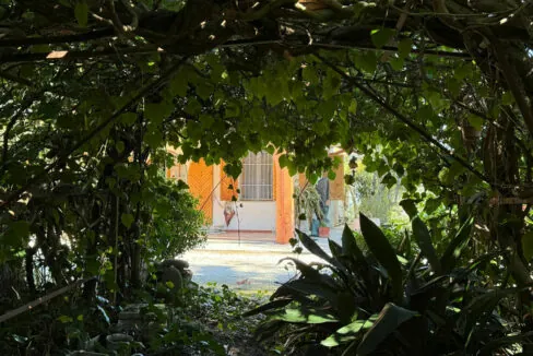 Casa-Mexico-diciannove
