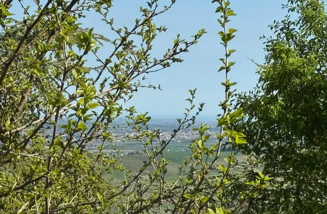 Casa-Mexico-ventiquattro