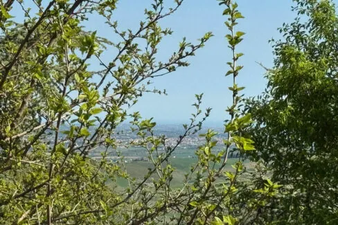 Casa-Mexico-ventiquattro