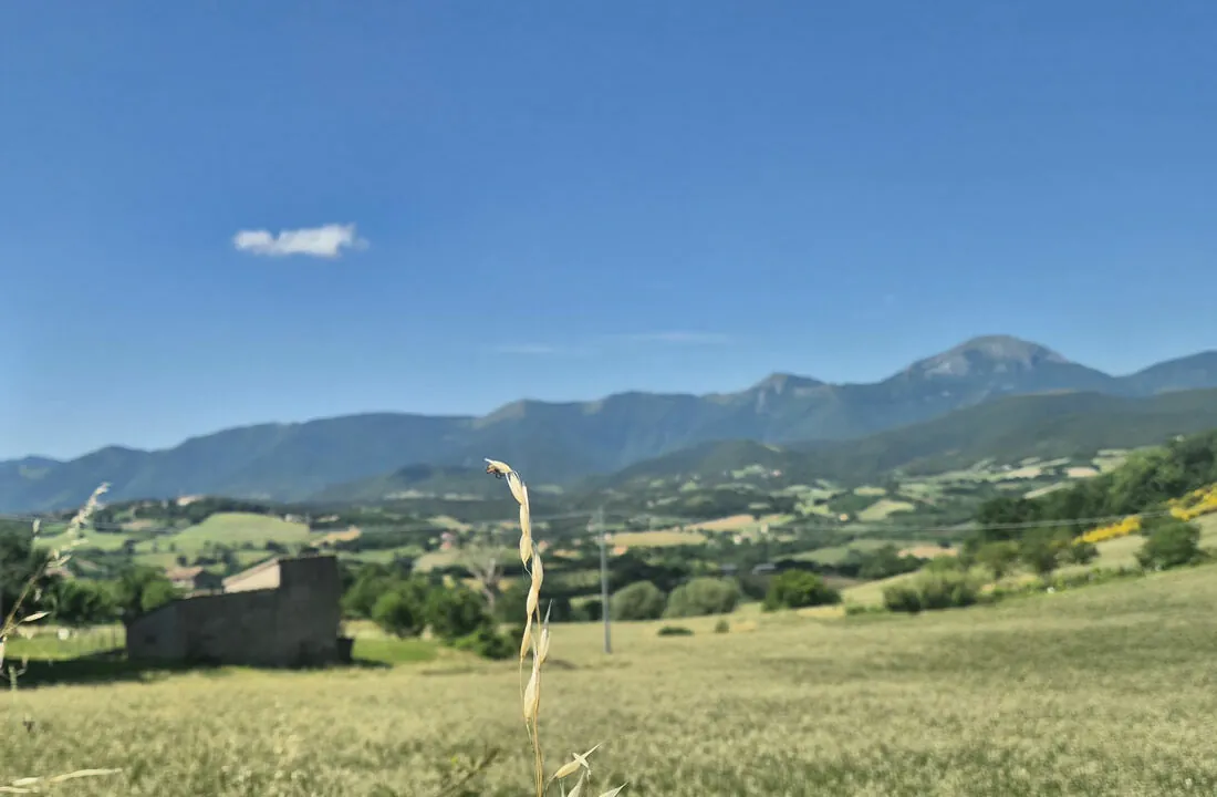 Murazzano-otto