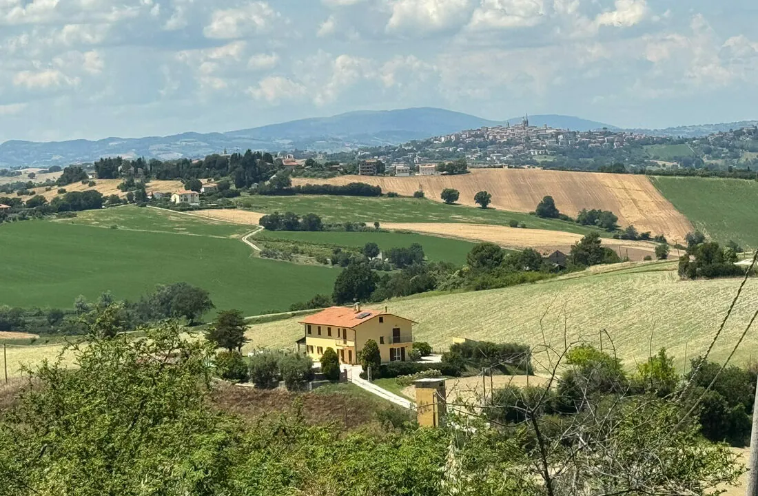 Ostra-uno