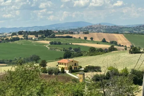 Ostra-uno