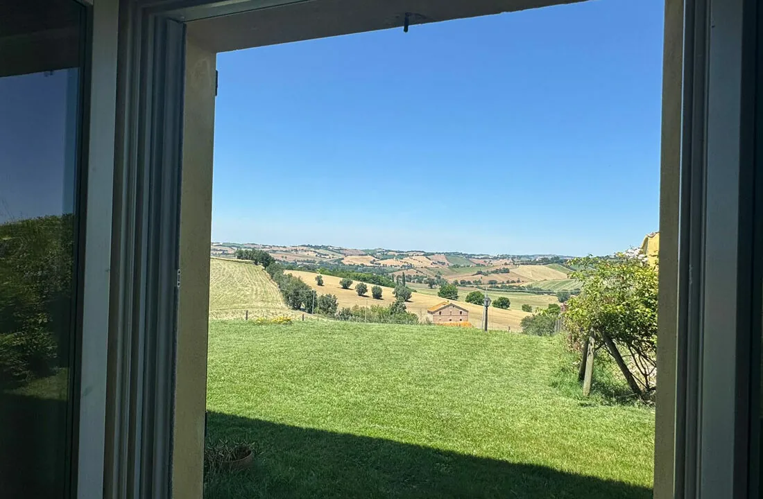 ostra-ventinove