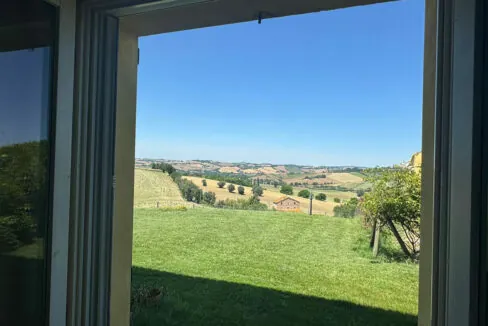 ostra-ventinove