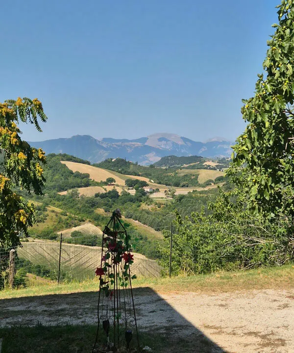 Frasassi-cinque