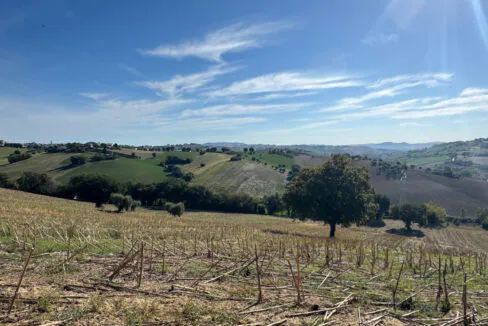 Casa-piculina-diciannove