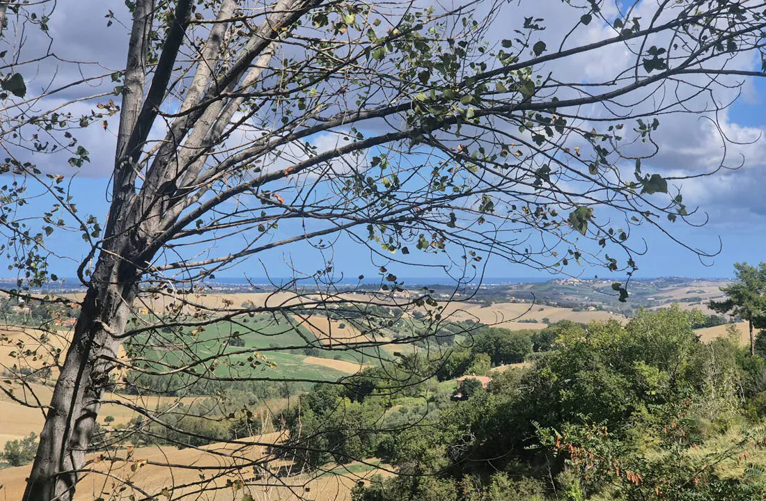 Casalino cinque