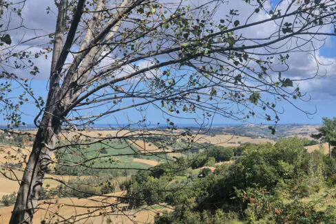 Casalino cinque