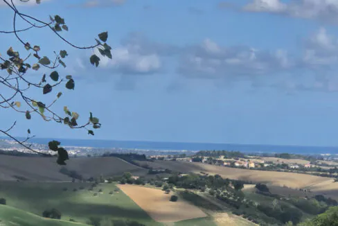 Casalino-sei