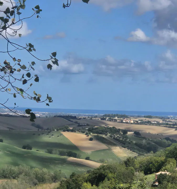 Casalino-sei