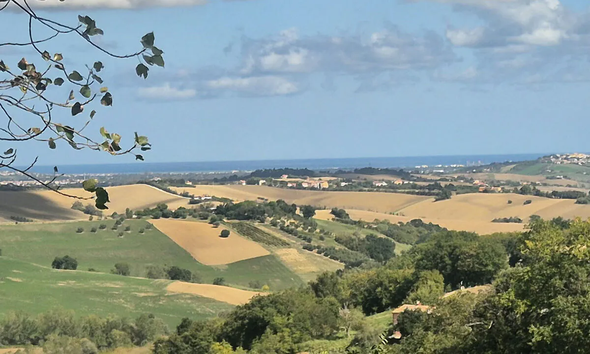 Casalino-tre